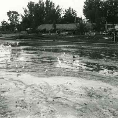 Low Tide at Gulfport Beach