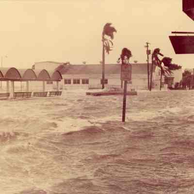 [Hurricane Elena]