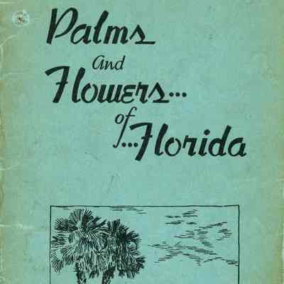 Palms and flowers of Florida