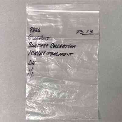 Survey Sample (Small Bag)