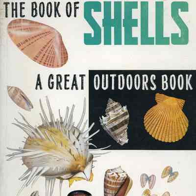 The great outdoors book of shells
