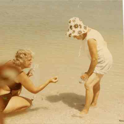 Collecting Shells