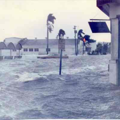[Hurricane Elena]
