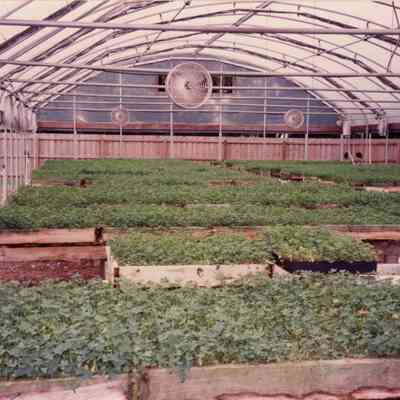 Clover Specialty Company