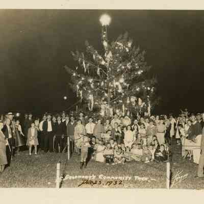 Gulfport's Community Tree