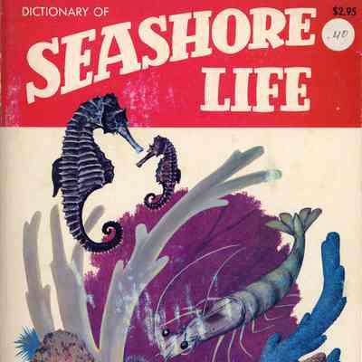 The great outdoors book of seashore life