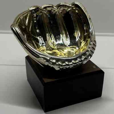 Softball Glove Ball Holder
