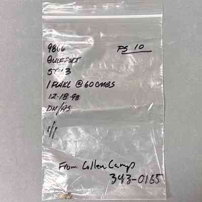 Survey Sample (Small Bag)