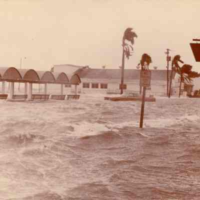 [Hurricane Elena]