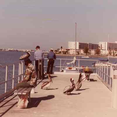On the Pier