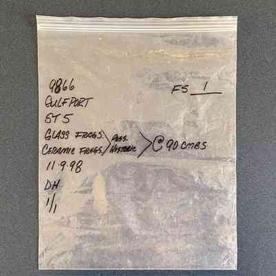 Survey Sample (Large Bag)