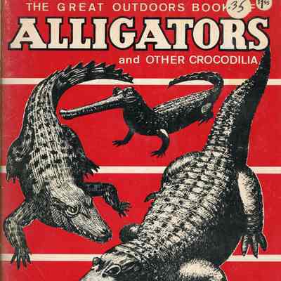 The great outdoors book of alligators