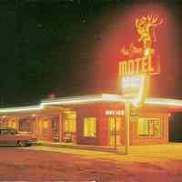          Stag Motel Double-Faced Metal & Neon Sign picture number 3
   