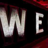          Hand-Painted Illuminated Glass & Lightbulb Weiss Sign picture number 4
   