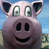          Kahnie Fiberglass Pig Mascot picture number 1
   