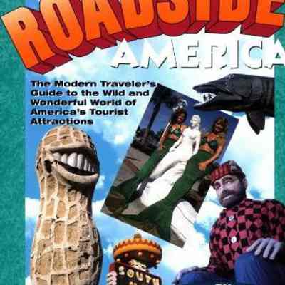 The New Roadside America by Wilkins, Smith & Kirby