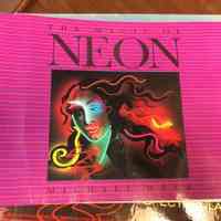 The Magic of Neon by Michael Webb