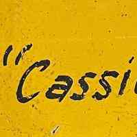          Cassius Clay Sr. Beauty Shop Sign picture number 2
   
