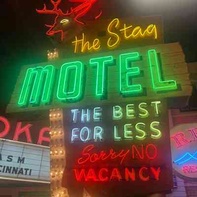 Stag Motel Double-Faced Metal & Neon Sign