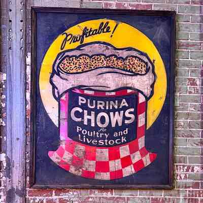 Purina Chows Wooden Sign