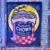          Purina Chows Wooden Sign picture number 2
   