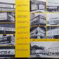          Peskin Neon Polyplastic Forms Flyer picture number 2
   
