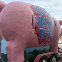          Kahnie Fiberglass Pig Mascot picture number 5
   