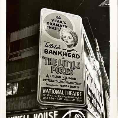 Street Corner Signs - Photograph