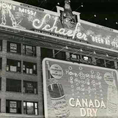 Schaefer Beer & Canada Dry Signs - Photograph