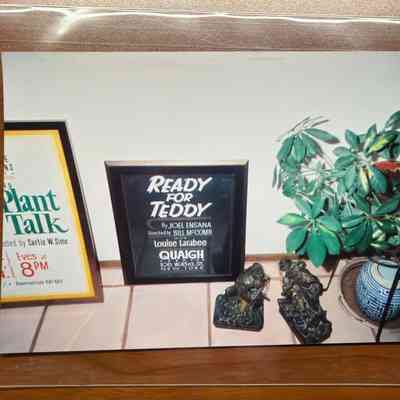 Ready for Teddy Show Card Photograph