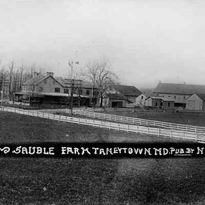 Sauble Farm