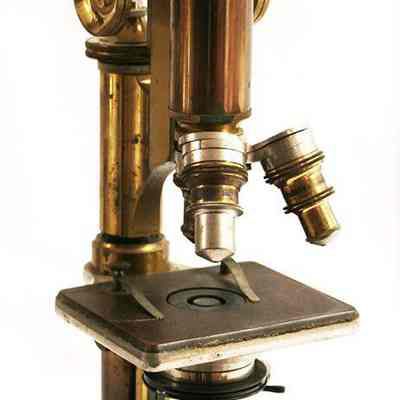 microscope