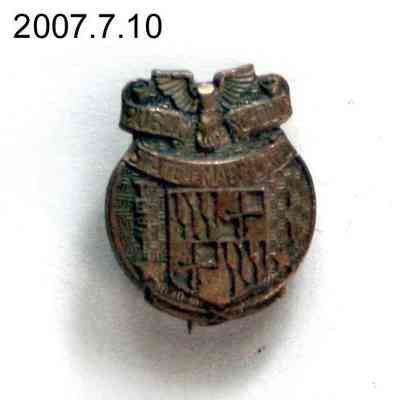 pin, lapel