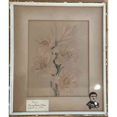 Fanny Shellman Watercolor