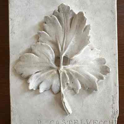 Plaster cast