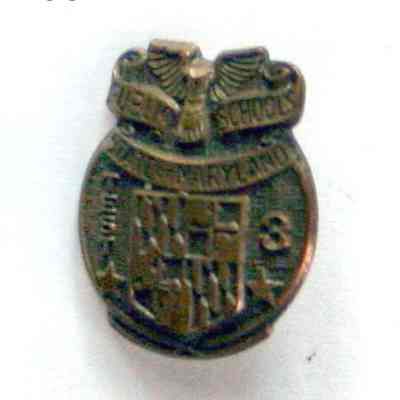 pin, lapel