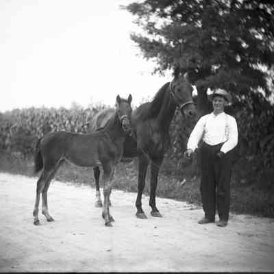 man with horse and foal