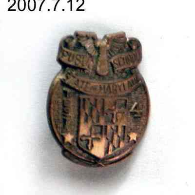 pin, lapel