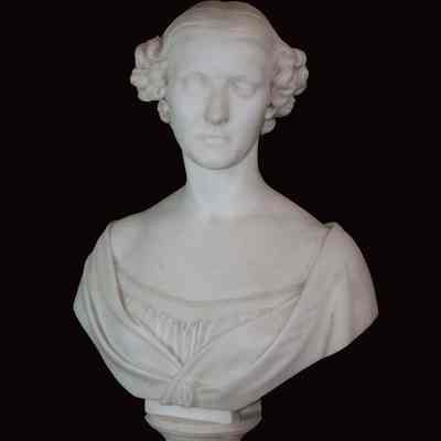 bust