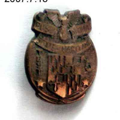 pin, lapel