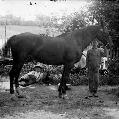 horse & 2 boys