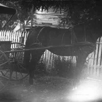 horse & buggy