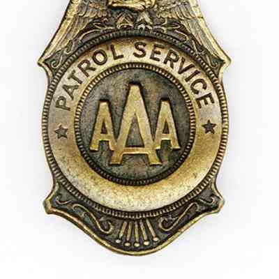 pin, lapel