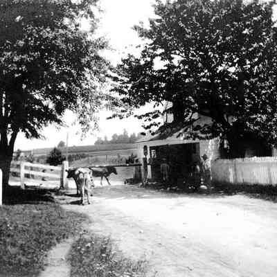 toll gate