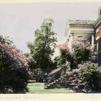 "Homewood Garden"