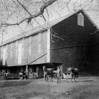 Englar, Frank farm