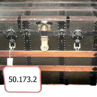 trunk