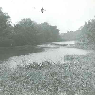 Roop's Mill