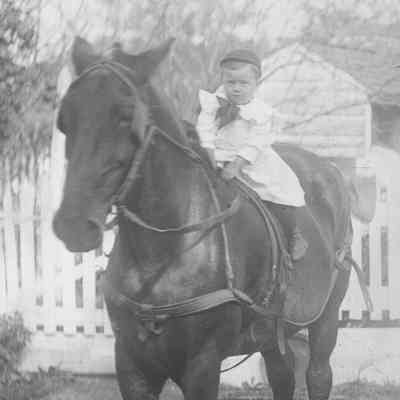 child on horse