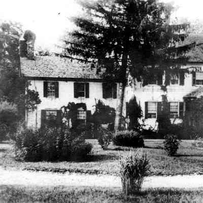 Elms, the